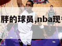 nba现役最胖的球员,nba现役最胖的球员是谁