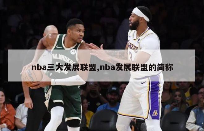 nba三大发展联盟,nba发展联盟的简称